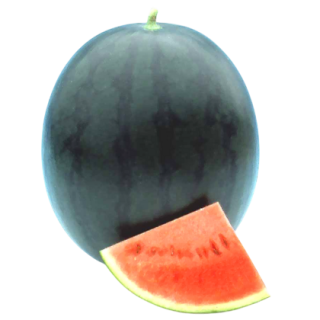 Poonam Watermelon From Known You Seed (India) (1)-KYI